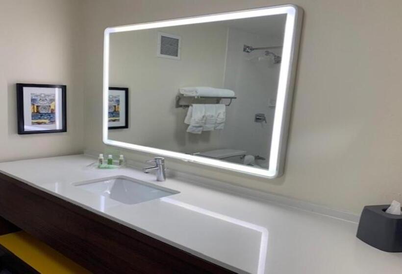 Стандартный Номер Кровать Кинг, Holiday Inn Chicago North Shore, An Ihg