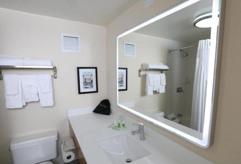 Студио Стандарт Кровать Кинг, Holiday Inn Chicago North Shore, An Ihg