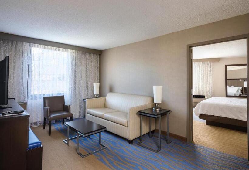 سوئیت با تخت بزرگ, Holiday Inn Washington Capitol National Mall, An Ihg