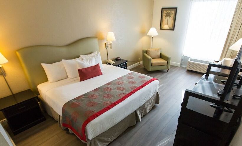 コンフォートルーム, Plaza Hotel Fort Lauderdale