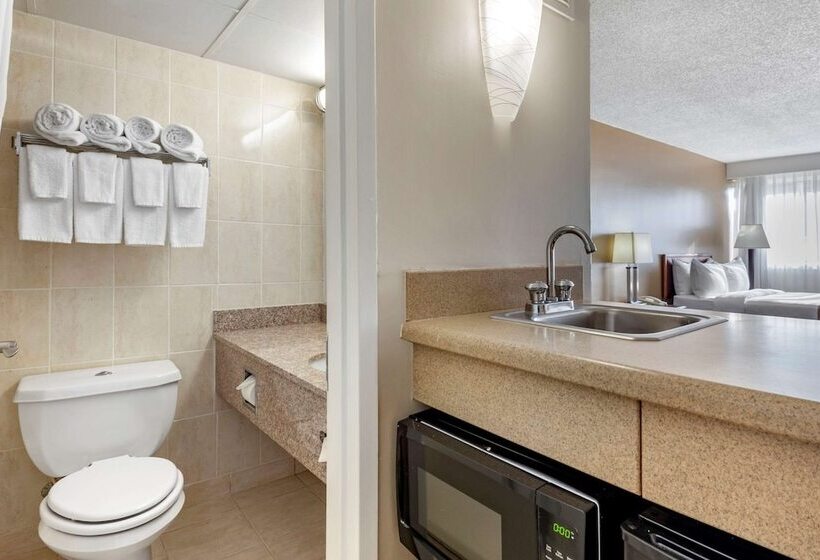 Номер Стандарт 2 Двуспальные Кровати, Quality Inn & Suites Vestal Binghamton Near University