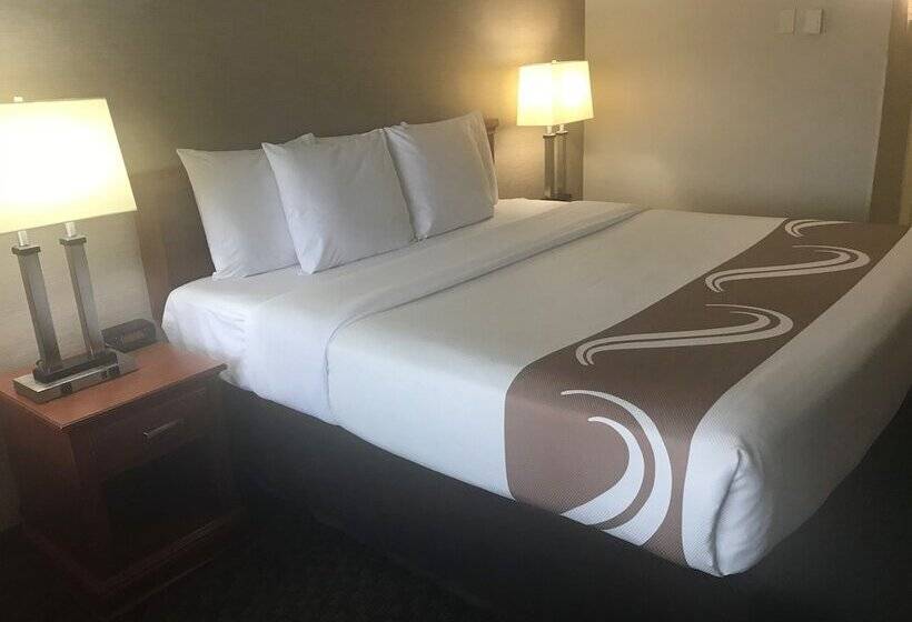 Номер Стандарт 2 Двуспальные Кровати, Quality Inn & Suites Vestal Binghamton Near University