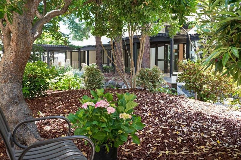 Стандартный Номер Кровать Кинг, Sheraton Palo Alto