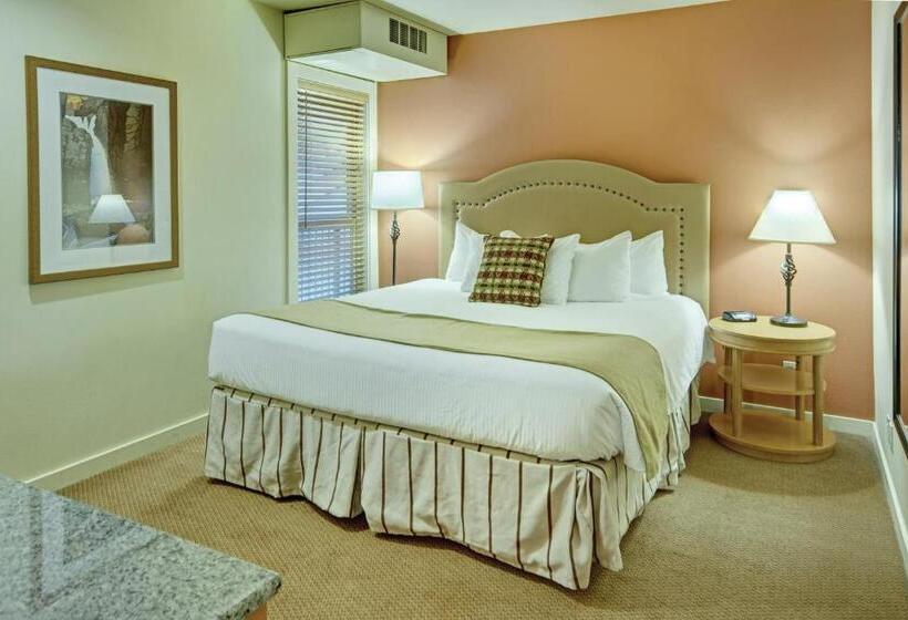 Suite, Seventh Mountain Resort