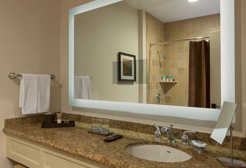 Номер Стандарт, Hyatt Regency Lake Tahoe Resort, Spa & Casino