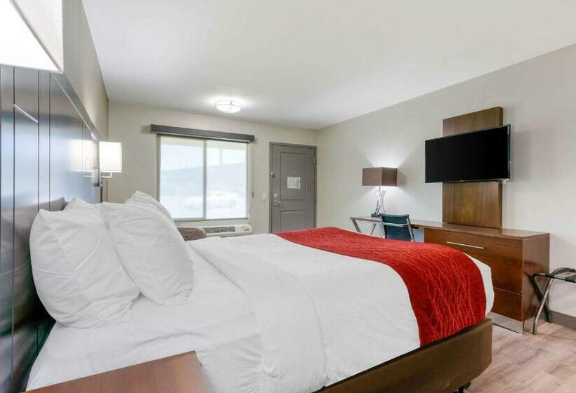 StandaardKamer, Comfort Inn