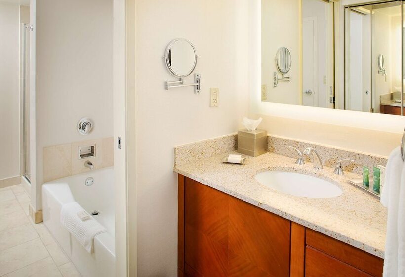 סוויטה, Hilton Suites Atlantaperimeter