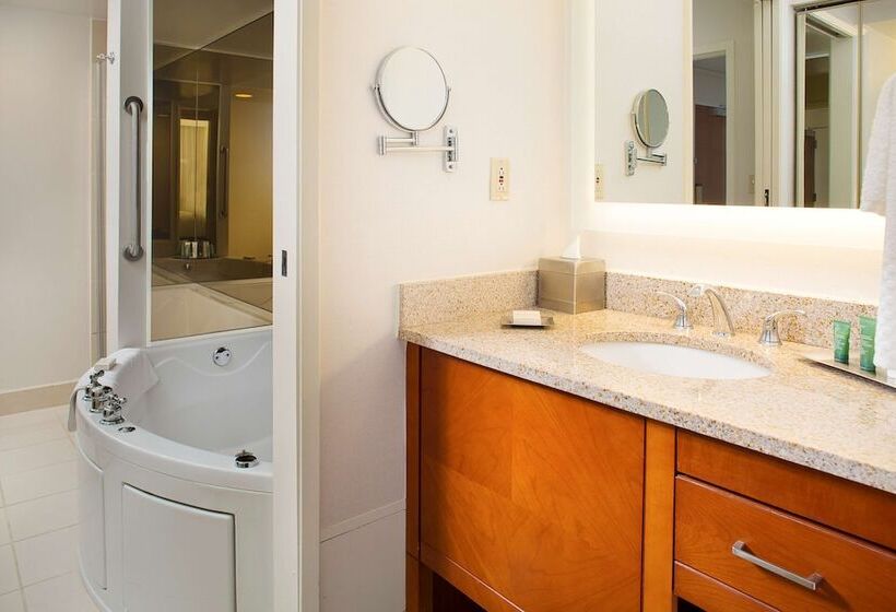 סוויטה אקזקיוטיב, Hilton Suites Atlantaperimeter