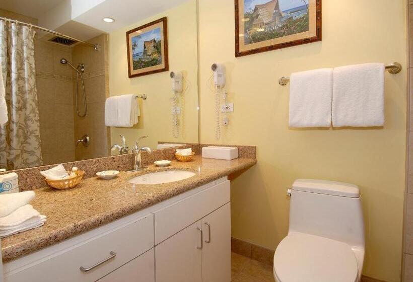 آپارتمان 2 خوابه با چشم‌انداز دریا, Mana Kai Maui   Official Onsite Rental Company