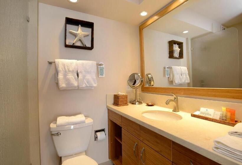 2 Bedroom Premium Apartment Sea View, Mana Kai Maui   Official Onsite Rental Company