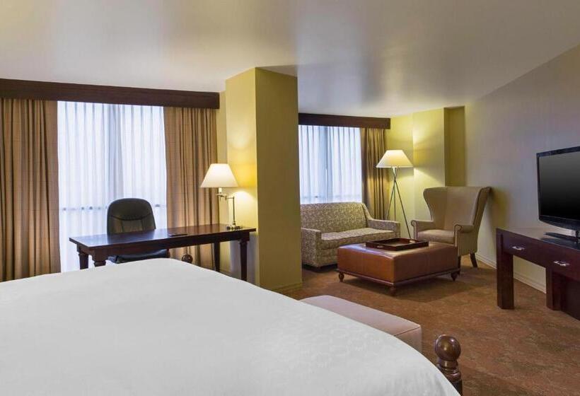 Полулюкс Кровать Кинг, Sheraton Houston Brookhollow