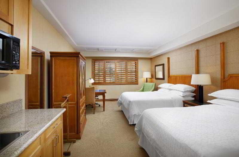 스탠다드 룸, Sheraton La Jolla