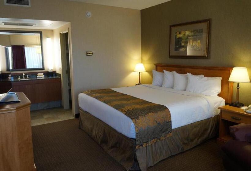 Стандартный Номер Кровать Кинг, The Biltmore Hotel & Suites Main Avenue