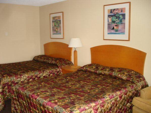 Номер Стандарт, Cedars Inn Lewiston