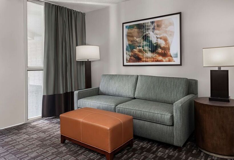 Premium Suite, Embassy Suites By Hilton Nashville Airport