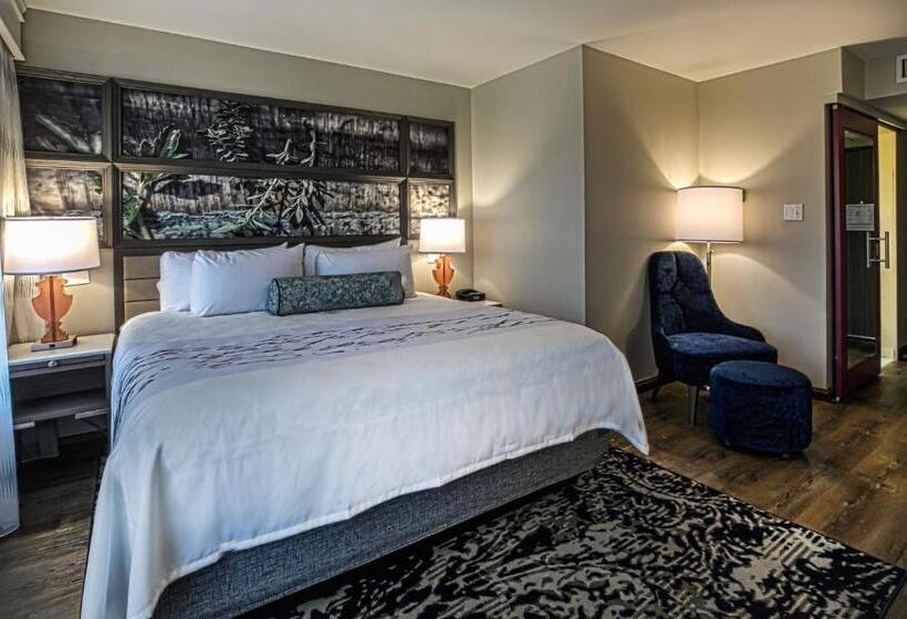 스탠다드 룸, Indigo   Birmingham Five Points S   Uab, An Ihg