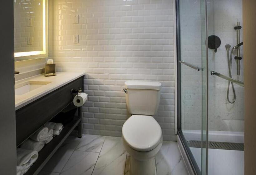 스위트, Indigo   Birmingham Five Points S   Uab, An Ihg