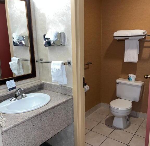 Стандартный Номер Кровать Кинг, Quality Inn And Conference Center Greeley Downtown