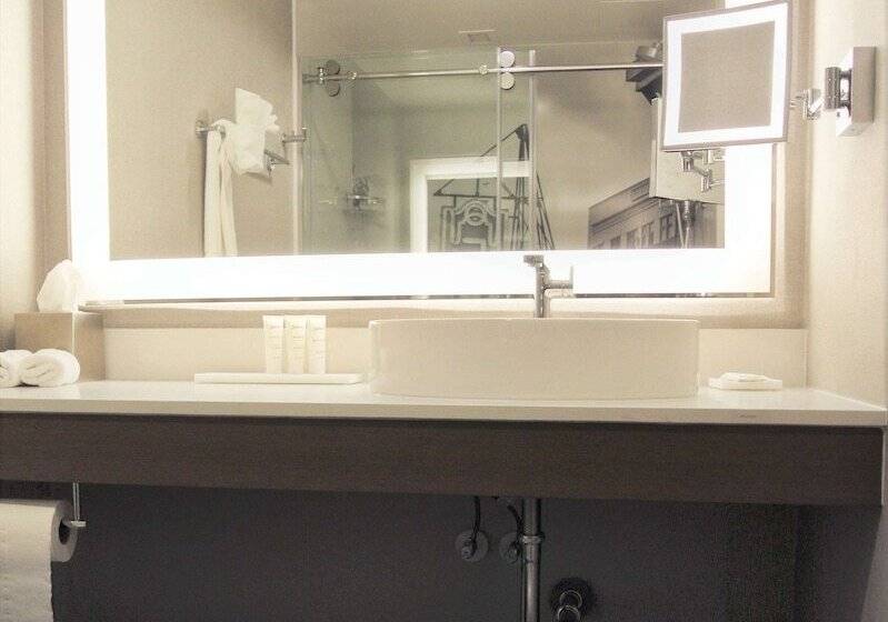 总统套房, Radisson Blu  Fargo