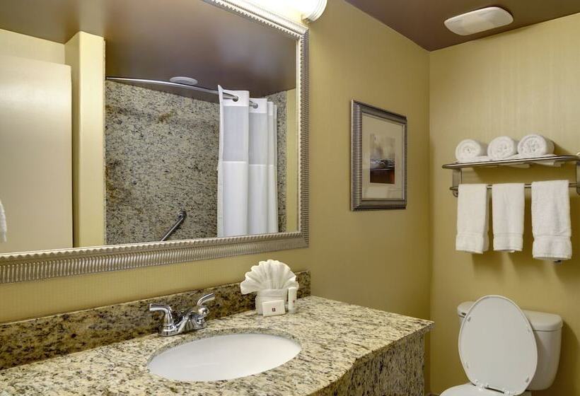 ２ダブルベッドのスタンダードルーム, Clarion Inn Elmhurst  Oak Brook Near I88, I290, I294