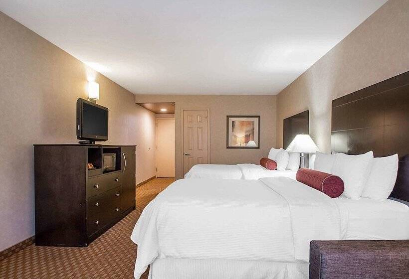 スイート, Clarion Inn Elmhurst  Oak Brook Near I88, I290, I294