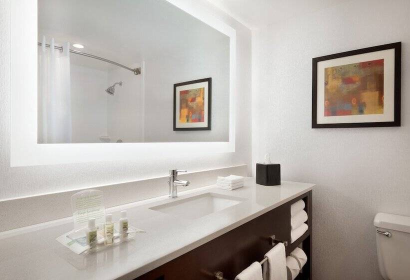 ２ダブルベッドのスタンダードルーム, Holiday Inn Rock Island Quad Cities, An Ihg