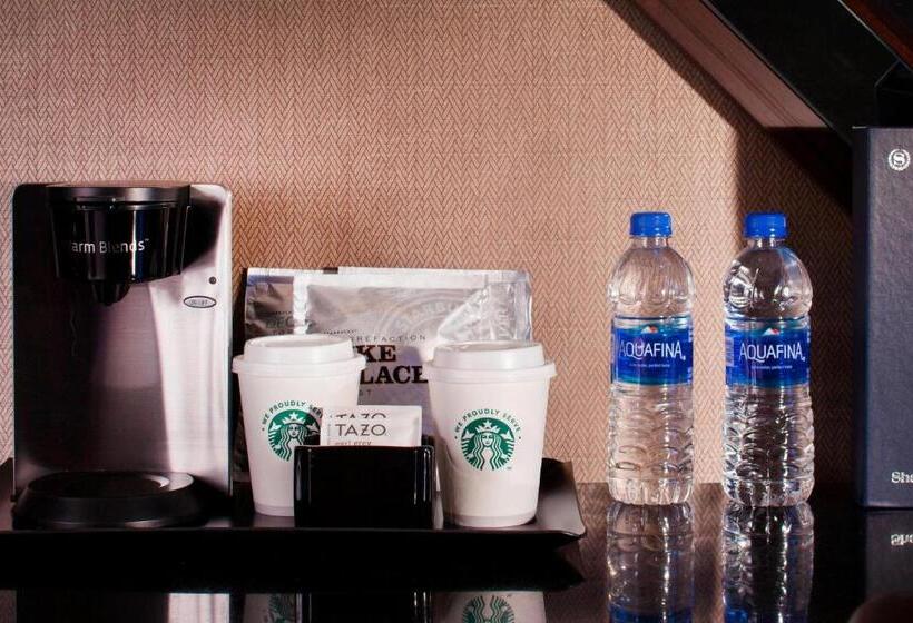 스탠다드 룸 1층, Sheraton Dfw Airport