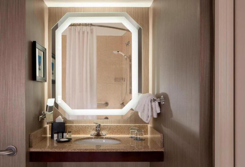 장애인을 위한 킹사이즈 침대 스탠다드 룸, Sheraton Dfw Airport