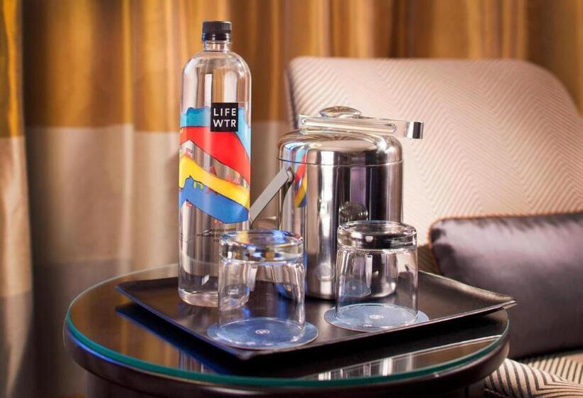 장애인을 위한 킹사이즈 침대 스탠다드 룸, Sheraton Dfw Airport