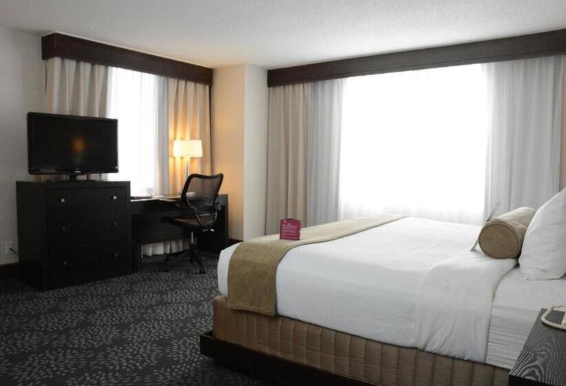 适合残疾人士使用的带超级大床的标准间, Armon Hotel & Conference Center Stamford Ct