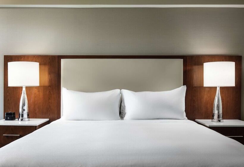 비즈니스룸, Hilton Boston Logan Airport
