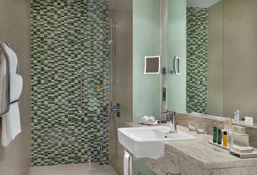 Habitació Estàndard 2 Llits Matrimoni, Hilton Palacio Del Rio