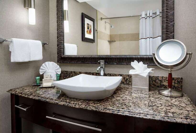Habitació Estàndard 2 Llits Matrimoni, Hilton Palacio Del Rio