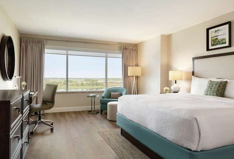 Habitació Estàndard 2 Llits Matrimoni, Hilton Palacio Del Rio