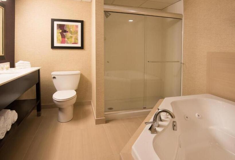 Люкс Кровать Кинг, Holiday Inn Williamsport, An Ihg