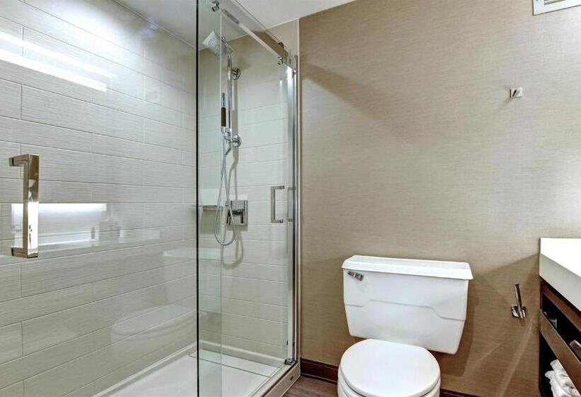 חדר סטנדרט מותאם לאדם עם מוגבלויות, Tulsa Marriott Southern Hills