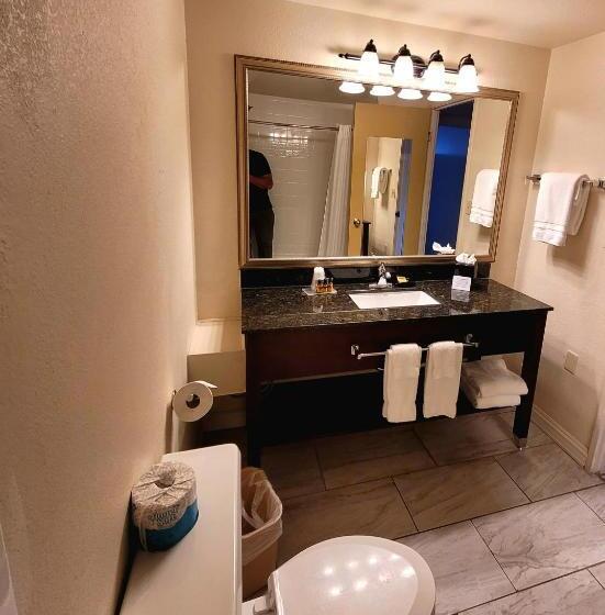 Апартаменты 1 Спальня, Seville Plaza Hotel, Trademark Collection By Wyndham