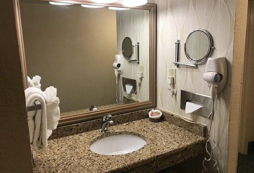Номер Стандарт, Sun Viking Lodge  Daytona Beach