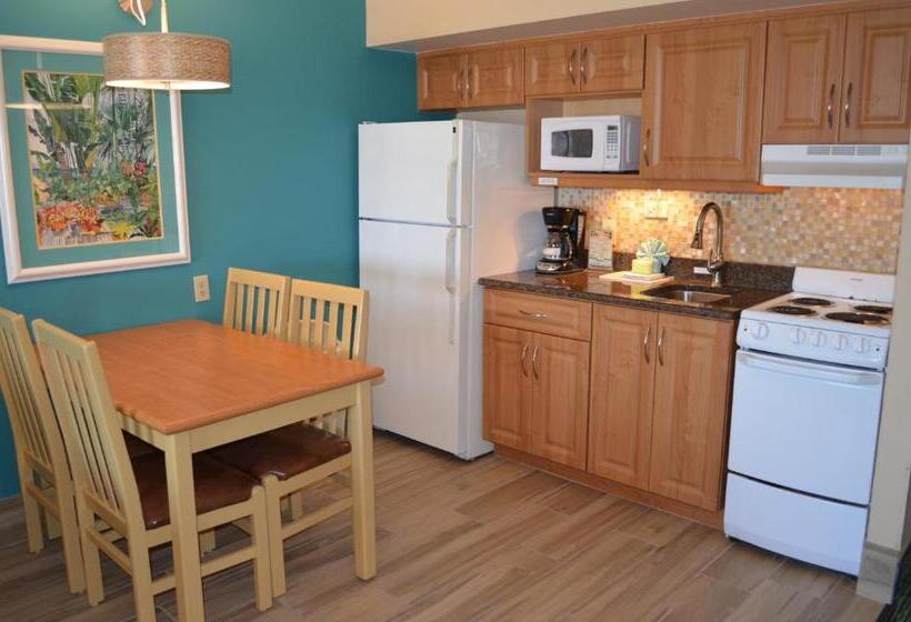 Номер Стандарт, Sun Viking Lodge  Daytona Beach
