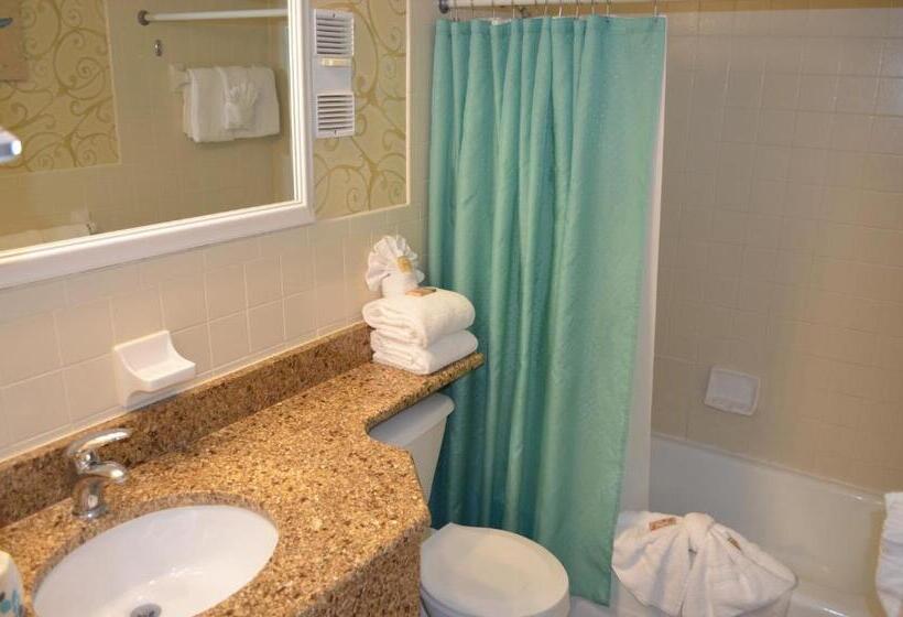 Люкс, Sun Viking Lodge  Daytona Beach
