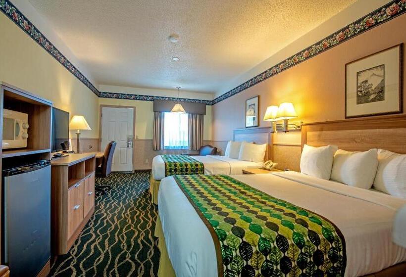 Номер Стандарт, Silver Spruce Inn