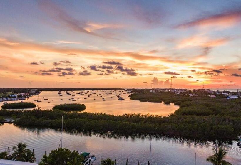 キングサイズベッドのスイートルーム, Skipjack Resort & Marina