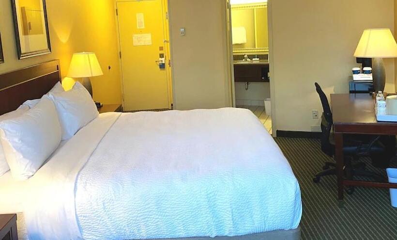 스탠다드 룸 킹사이즈 침대, Quality Inn West Lafayette   University Area