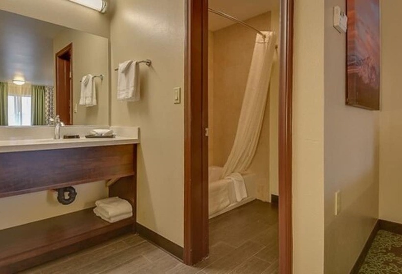 Номер Стандарт, Vagabond Inn Bishop