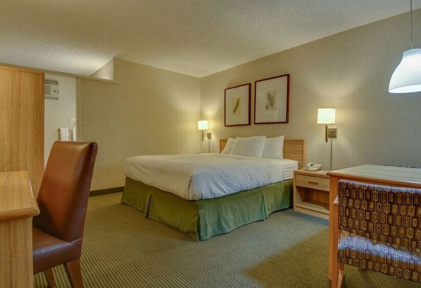商务房间, Vagabond Inn Los Angeles At Usc
