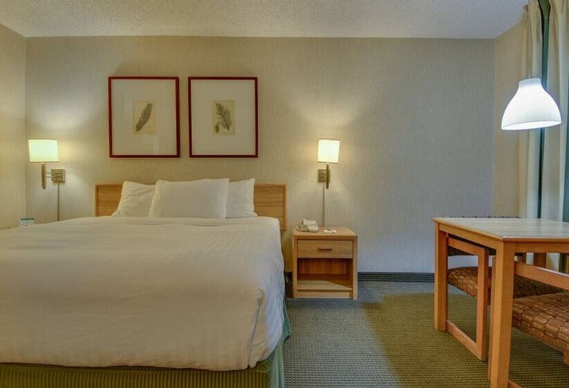 Quarto Classe Business, Vagabond Inn Los Angeles At Usc