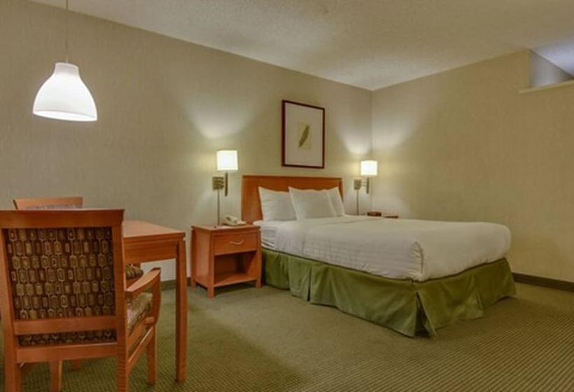 Quarto Estandar Cama Casal, Vagabond Inn Los Angeles At Usc