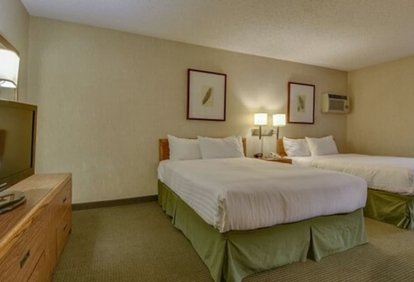 带2个双人床的标准工作室, Vagabond Inn Los Angeles At Usc