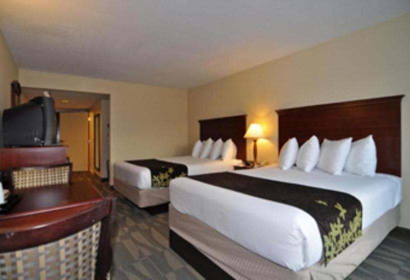Номер Стандарт, Gold Leaf Hotel Of Dewey