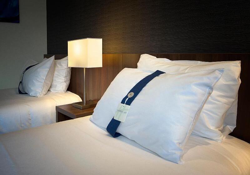اتاق استاندارد, Holiday Inn Express Lille Centre, An Ihg